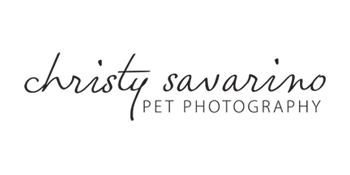 Christy Savarino Pet Photography San Antonio